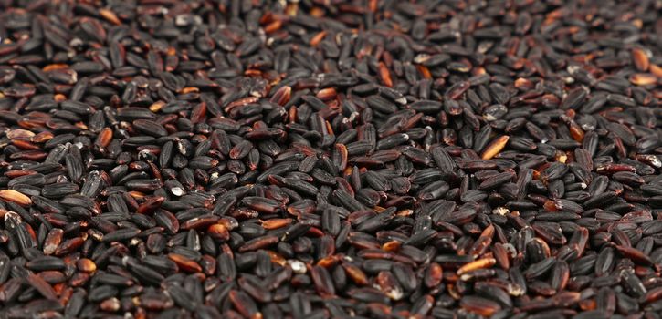 Black purple raw unhulled long grain rice close up pattern background, low angle view, selective focus