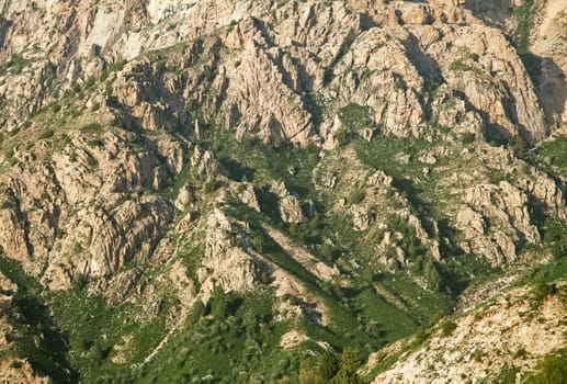 Slope of a mountain in Chimgan, Uzbekistan
