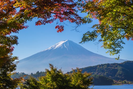 Autumn Season and Mountain Fuji with morning light and red maples leaves tunnel at lake Kawaguchiko, Japan.