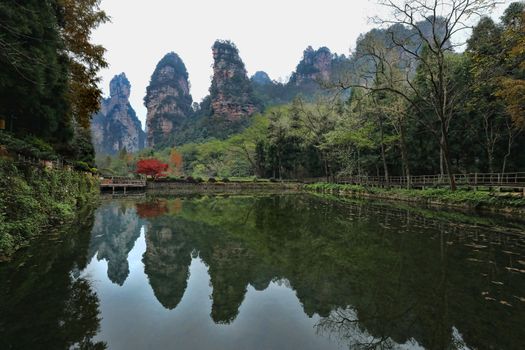 Beautiful Landscape Inside Zhangjiajie National Park China 
