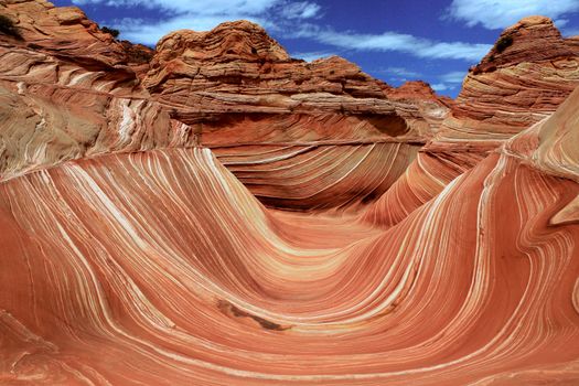 The Wave, Arizona, Canyon Rock Formation. Vermillion Cliffs, Paria Canyon State Park in the United States