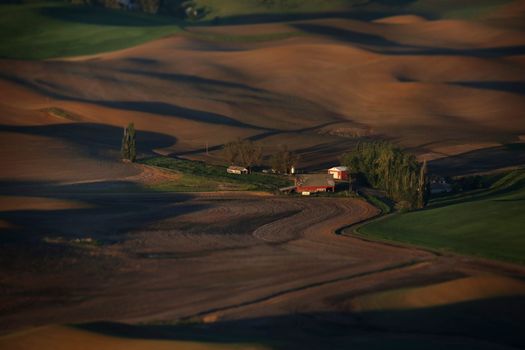 View of Palouse Washington from Steptoe Butte 