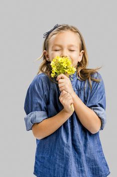 Studio portrait of a beautiful cute girl holding wild flowers