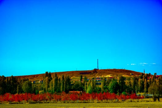 autumns colors in the Phrygian valley in Afyon city, Turkey