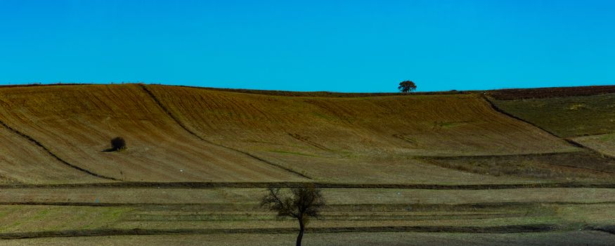 fertile soil prepeared for the new crops in the plain