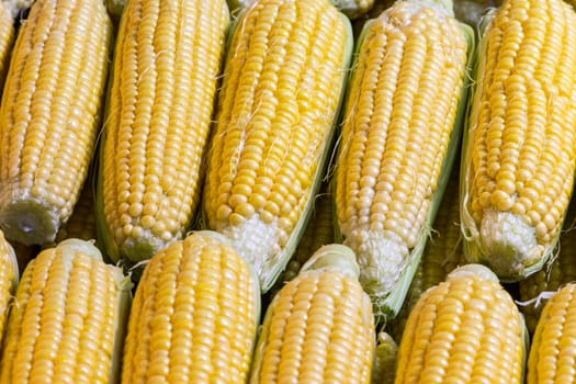 closeup shoot of the cobs of corns in the raws at market place
