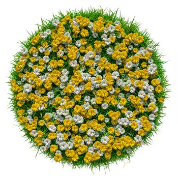 Close-up of grass carpet with flowers isolated on white background. 3d illustratration