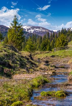 beautiful mountainous countryside in springtime. trees and wooden fence on hillside near the small brook. spruce forest at the foot of the mountain ridge with snowy tops
