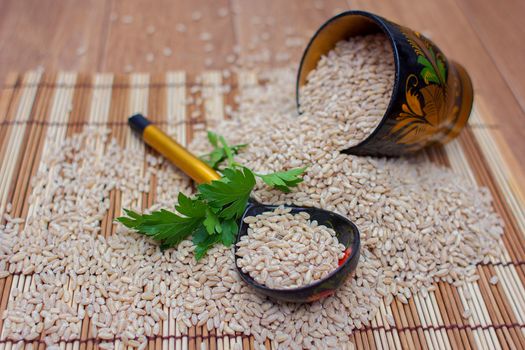 The wooden spoon lies in the scattered pearl barley with a greens branch