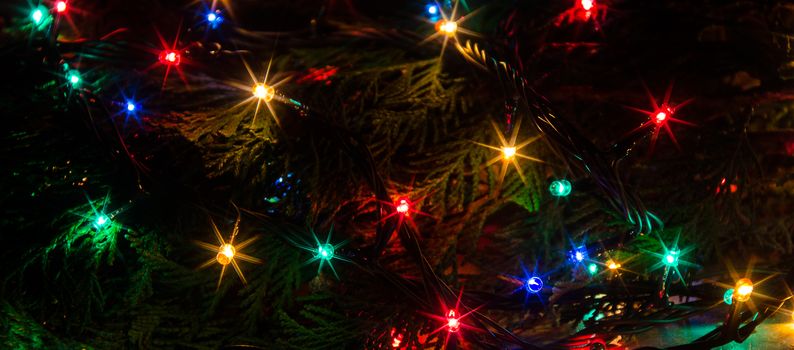 Christmas lights on a tree in different colors are classic symbol of Christmas.