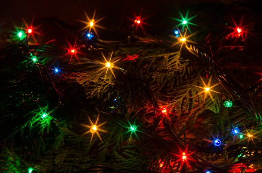 Christmas lights on a tree in different colors are classic symbol of Christmas.