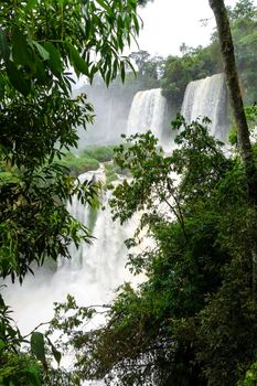 iguazu falls national park. tropical waterfalls and rainforest landscape