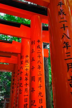 Fushimi Inari Taisha torii shrine, Kyoto, Japan