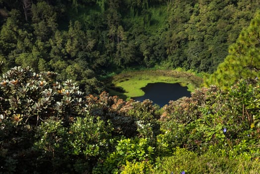 "Trou Aux Cerf " Volcano Curipipe in the tropical island jungle of Mauritius,sunny day.