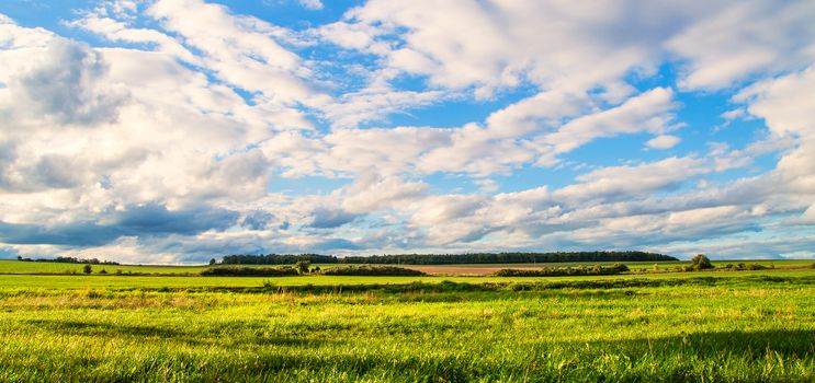 A view of a czech country full of grass and trees in the distance.