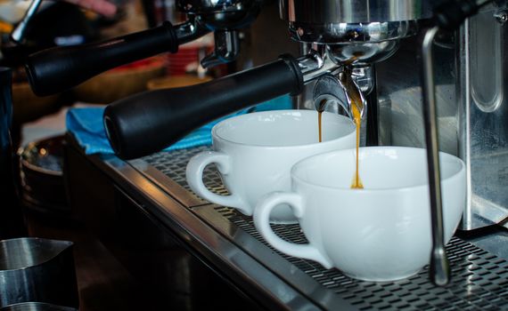 Barista Coffee Brewing Grind Professional Concept