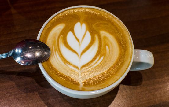 Barista Coffee Brewing Grind Professional Concept