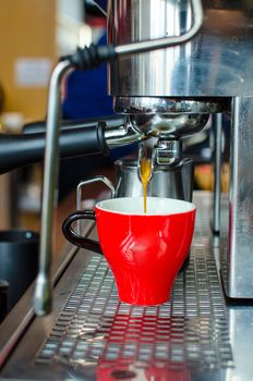 Barista Coffee Brewing Grind Professional Concept
