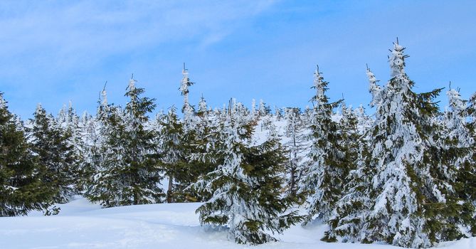 Snowy Czech mountain peak in the main ski season.