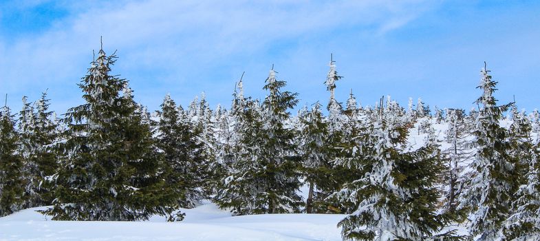 Snowy Czech mountain peak in the main ski season.