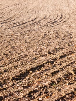 brown ploughed dry autumn farm field space tracks empty space agriculture landscape rows; essex; england; uk