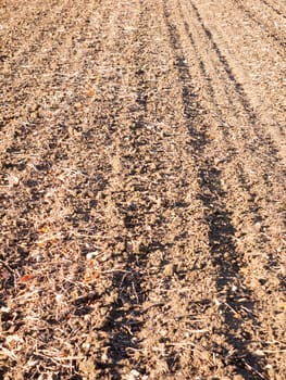 brown ploughed dry autumn farm field space tracks empty space agriculture landscape rows; essex; england; uk