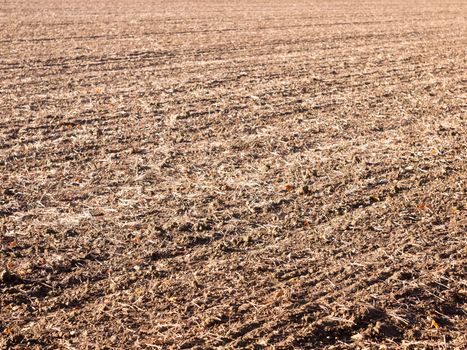 brown ploughed dry autumn farm field space tracks empty space agriculture landscape rows; essex; england; uk