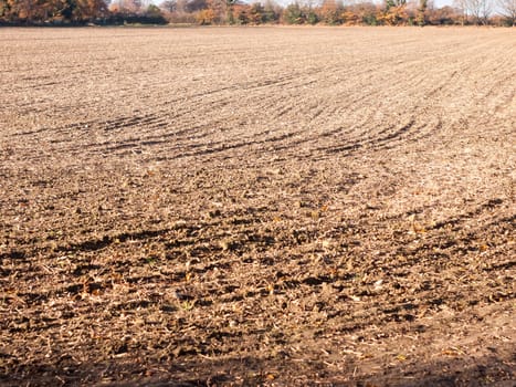 brown ploughed dry autumn farm field space tracks empty space agriculture landscape; essex; england; uk