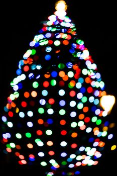 Colorful and vibrant outdoor Christmas tree lights