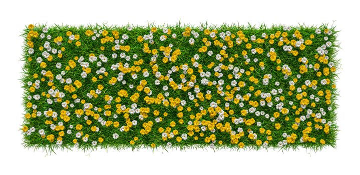 Close-up of grass carpet with flowers isolated on white background. 3d illustratration