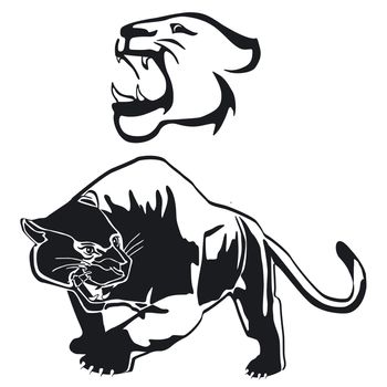 Leopard, panther graphic, illustration