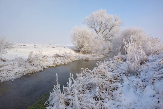 Frosty winter trees on countryside river