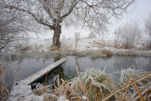 Frosty winter trees and footbridge on countryside river