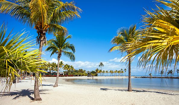 The Round Beach at Matheson Hammock County Park Miami Florida