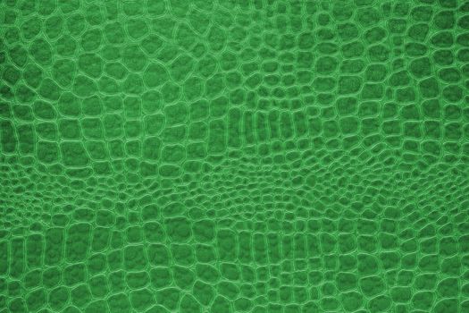 Green snake skin texture background. skin texture