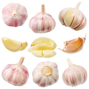 Collection of garlic isolated on white background, Save clipping path.