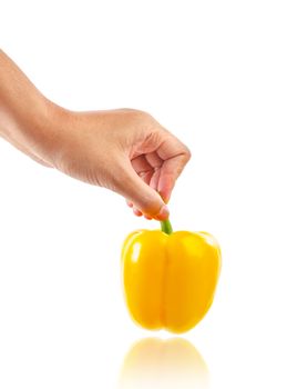 Human hand holding yellow pepper isolated on a white background, Saved clipping path.