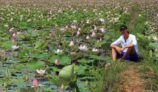 An adult man sits on a lotus field, Cambodia
