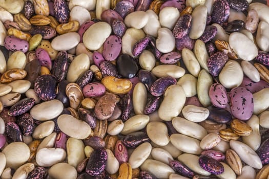 Beautiful mixed colorful beans as background. Raw colorful bean texture. Food photo