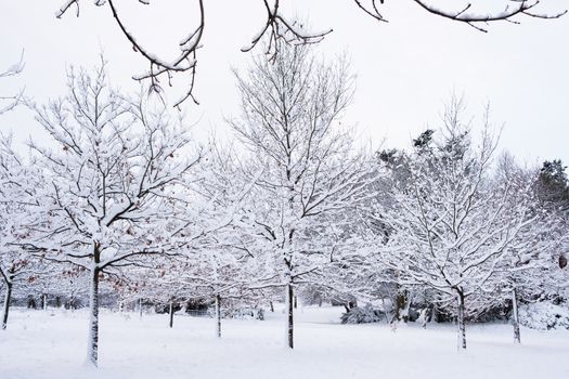 Beautiful view of Grove Park, Harborne covered in snow.