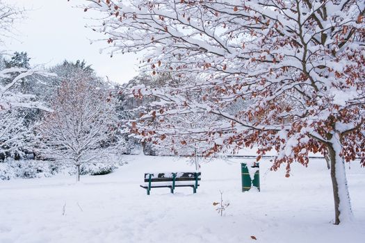 Beautiful view of Grove Park, Harborne covered in snow.