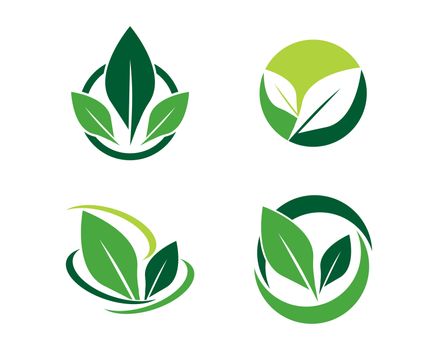 tree leaf logo template