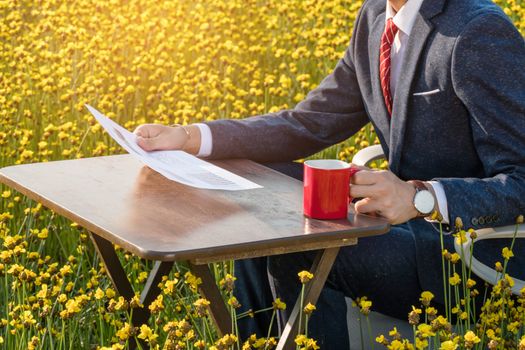 Asian businessman is working  in a large yellow flower field