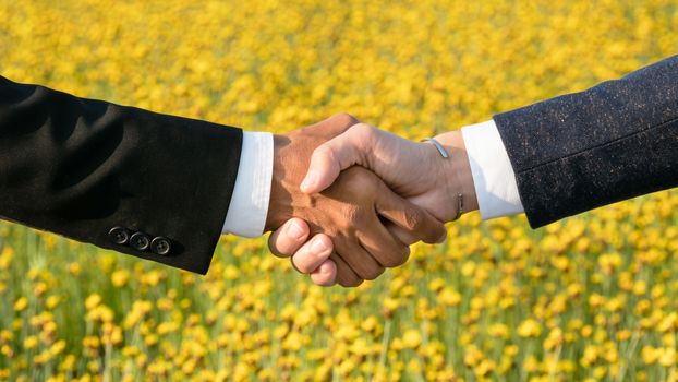 Businessman Shaking Hands over yellow field background