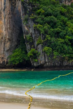 Close-up rock covered with trees in the sea in Thailand close-up