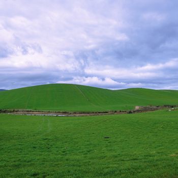 Farming field in Tasmania, Australia during the daytime.