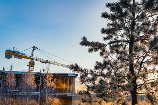 crane construction winter city tree sun crane