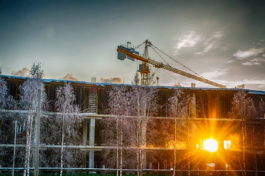 crane construction winter city tree sun crane