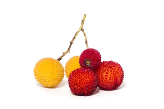Close up view of strawberry tree (Arbutus Unedo) fruit isolated in white background.