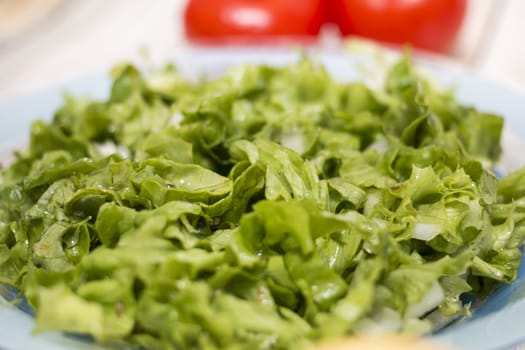 View of a healthy letucce salad on a plate.